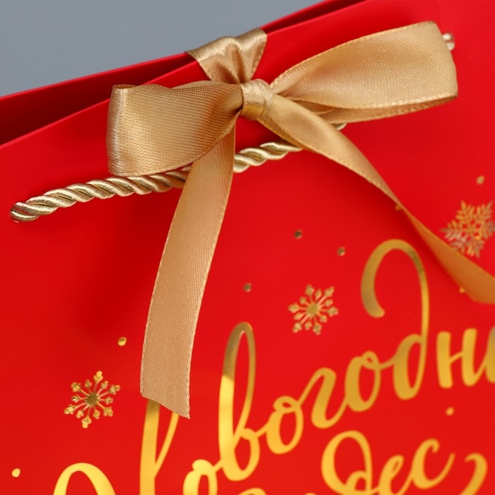 Пакет подарочный новогодний «Чудеса рядом», 26 х 25 х 11 см Пакет подарочный новогодний «Чудеса рядом», 26 х 25 х 11 см