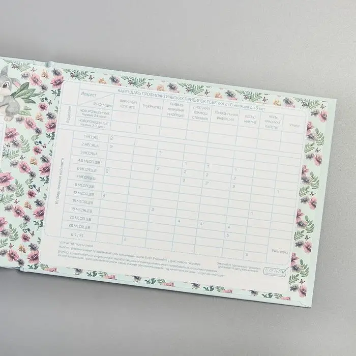 Медицинская карта &laquo;История развития ребёнка&raquo;, Бемби, 40 листов