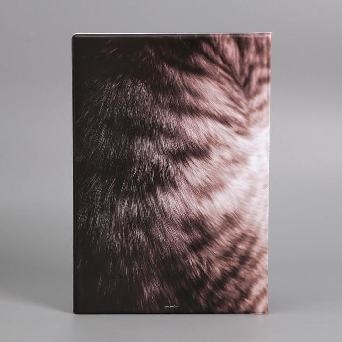 Папка для документов «Docs», 8 файлов А4 Папка для документов «Docs», 8 файлов А4