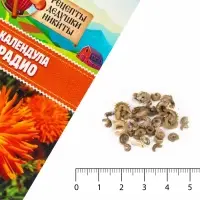 Семена цветов Календула &laquo;Радио&raquo;, 0.3 г, &laquo;Рецепты дедушки Никиты&raquo;