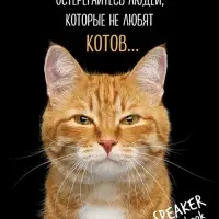 Тетрадь 40л А5ф кл 60-65г/кв.м на скобе Обл. мел.картон  серия -Кот говорит!- МИКС