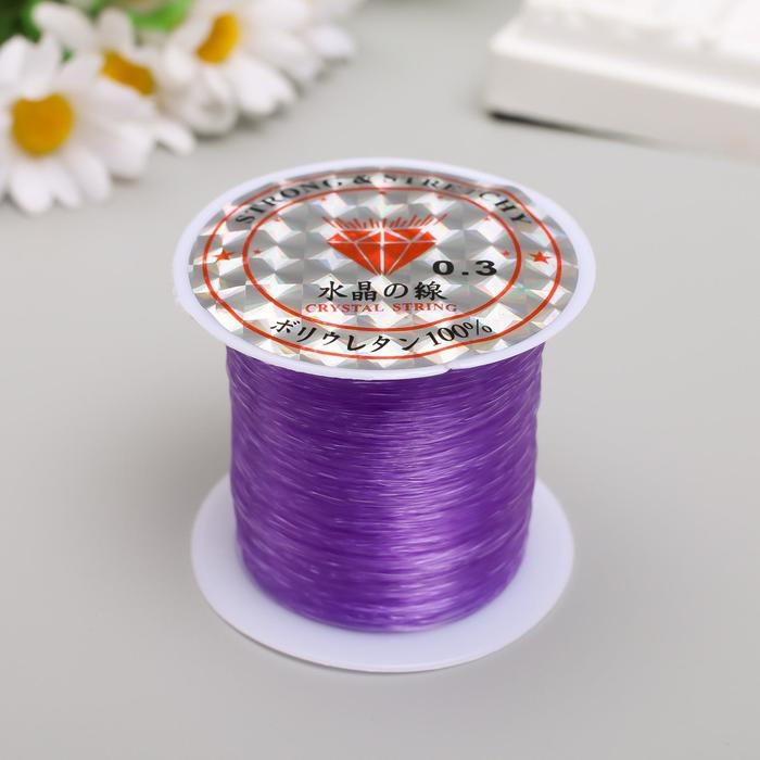 Леска для бисера 0,3 мм 100 м, фиолетовый Леска для бисера 0,3 мм 100 м, фиолетовый