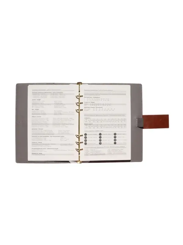 Органайзер на кольцах, А5, с хлястиком, 80л, линия, к/зам, Коричневый Органайзер на кольцах, А5, с хлястиком, 80л, линия, к/зам, Коричневый