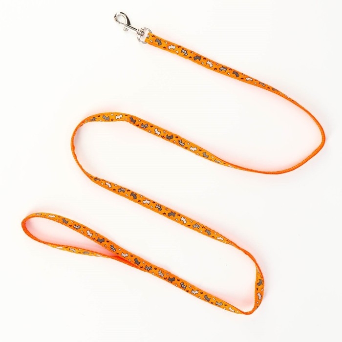 Комплект  Комплект "Собачки", ширина 1 см, поводок 1,2 м, шлейка 23-35 см, оранжевый