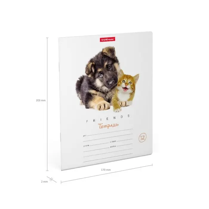 Тетрадь 12 листов в линейку, ErichKrause &laquo;Дружба&raquo;, обложка мелованный картон, блок офсет 100% белизна, МИКС (1 вид в спайке)
