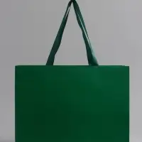 Пакет подарочный ламинированный горизонтальный &laquo;Изумрудный&raquo;, 32&times;25&times;11 см