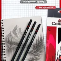 Карандаши чернографитные Calligrata, 12 штук, разная твёрдость, шестигранные, деревянные