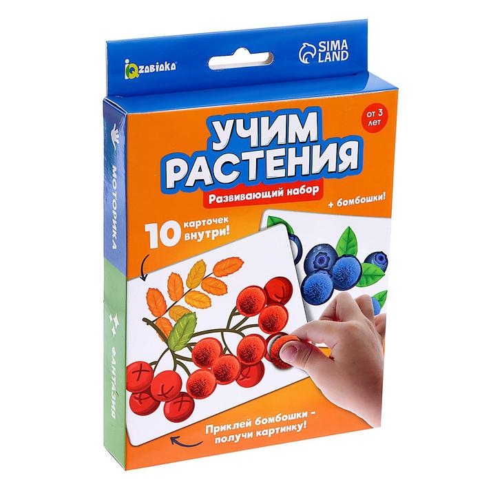 Развивающий набор «Учим растения» Развивающий набор «Учим растения»