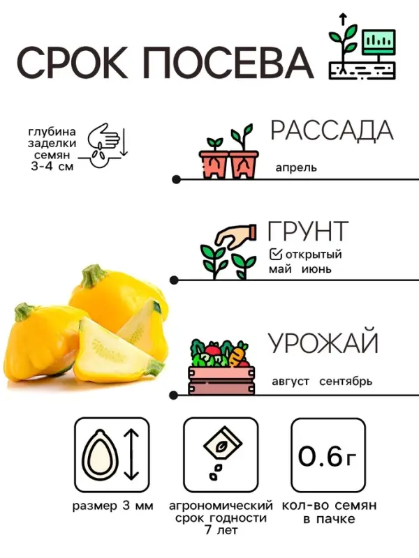 Семена Патиссон  Семена Патиссон "Копейка", 0,6 г