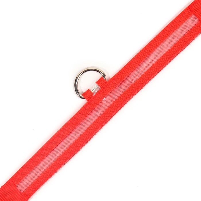 Ошейник с подсветкой размер XL, ОШ 52-60 х 2,5 см, 3 режима свечения красный Ошейник с подсветкой размер XL, ОШ 52-60 х 2,5 см, 3 режима свечения красный