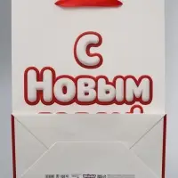 Пакет подарочный &laquo;Новый год&raquo;, Лунтик, XL.  40 х 19 х 49 см