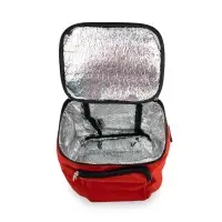 Термосумка TC-6 (6 литров)