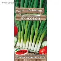 Семена Лук на зелень Пучковый, 1гр Семена Лук на зелень Пучковый, 1гр