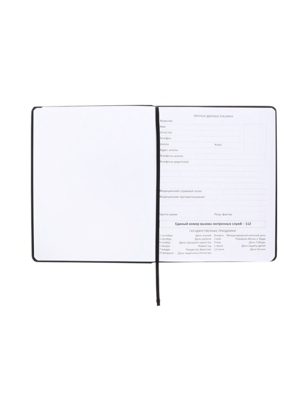 Дневник школьный 1-11 класс, deVENTE &laquo;Гусь&raquo;, искусственная кожа, шелкография