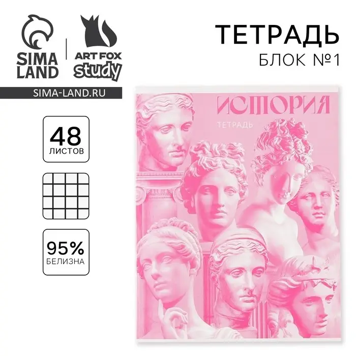 Тетрадь в клетку, предметная, 48 л., на скрепке, А5 &laquo;РОЗОВАЯ СЕРИЯ. История&raquo;