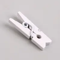 Прищепки для декора 50 шт., белые &mdash; 2.5 см