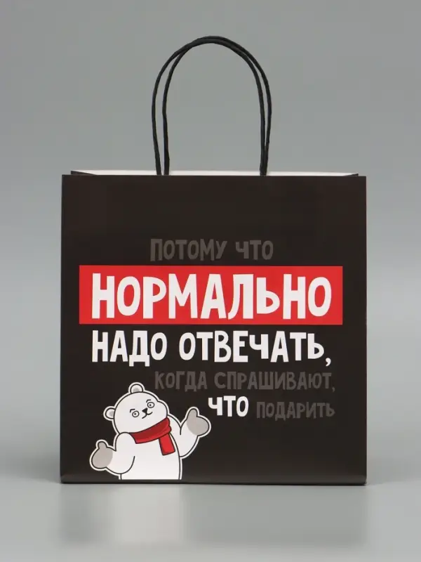 Пакет подарочный новогодний &laquo;Нормально надо отвечать&raquo;, 22&times;22&times;11 см