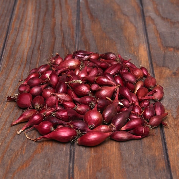 Лук севок Кармен , р-р 18-21, 2 кг, Весна 2025 Лук севок Кармен , р-р 18-21, 2 кг, Весна 2025