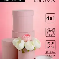 Набор шляпных подарочных коробок 4 в 1 &laquo;Нежно-розовый&raquo;, 20&times;20 ‒13&times;13 см