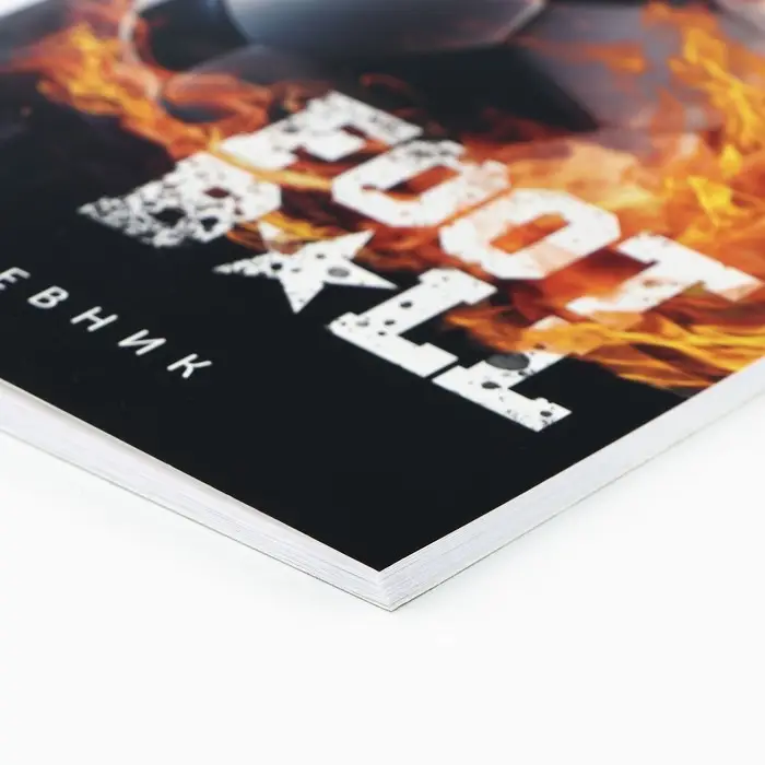 Дневник школьный 1-11 класс, в мягкой обложке, 40 л &laquo;Футбол&raquo;