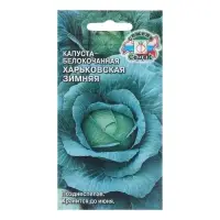 Семена Капуста белокочанная "Харьковская Зимняя", 0,5 г Семена Капуста белокочанная "Харьковская Зимняя", 0,5 г