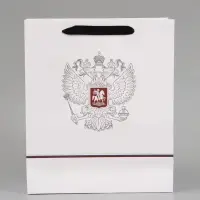Пакет подарочный &laquo;Россия&raquo;, 25.5&times;30&times;9 см