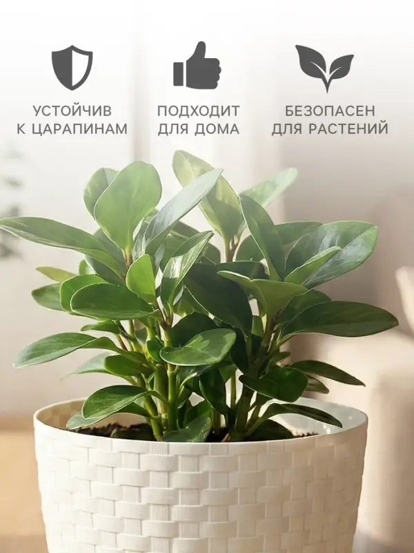 Горшок для цветов с поддоном &laquo;Ротанг&raquo;, 1.2 л, d=13 см, h=12 см, пластиковый, белый