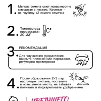 Семена Цветов Платикодон "Яркие вспышки", смесь сортов, 0,03 г