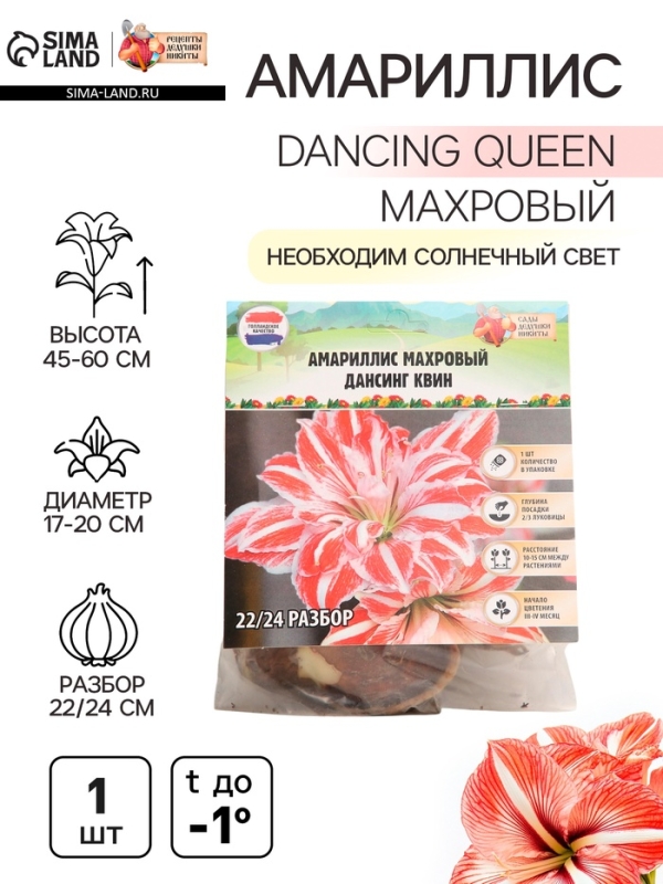 Амариллис Махровый Dancing Queen, многолетник, луковица, р-р 22/24, 1 шт.