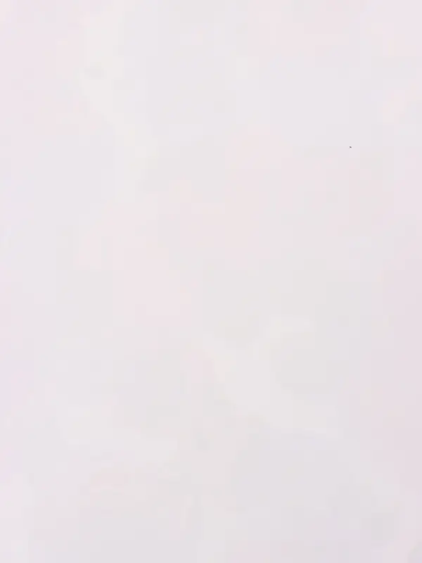 Пленка для цветов, "Розы", белая, 57х57 см