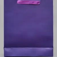 Пакет подарочный &laquo;Подарок для тебя&raquo;, голография, М 26&times;30&times;9 см