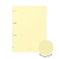 Тетрадь на кольцах ErichKrause. Pastel А4, 80 листов, в клетку, пластиковая обложка, блок офсет, 100% белизна, МИКС