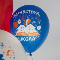 Шар латексный 12" «1 Сентября», 1-сторонний, 5 дизайнов, шелкография, набор 25 шт., МИКС
