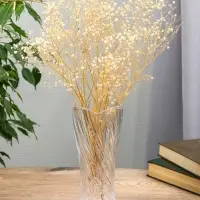 Ваза &laquo;Николь&raquo;, 23.5&times;10.5 см, стекло, прозрачная
