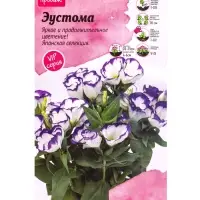 Семена цветов Эустома Кармен Блю Рим 5 шт