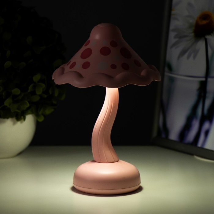 Ночник Ночник "Гриб" LED 2Вт USB АКБ МИКС 13х13х21 см RISALUX
