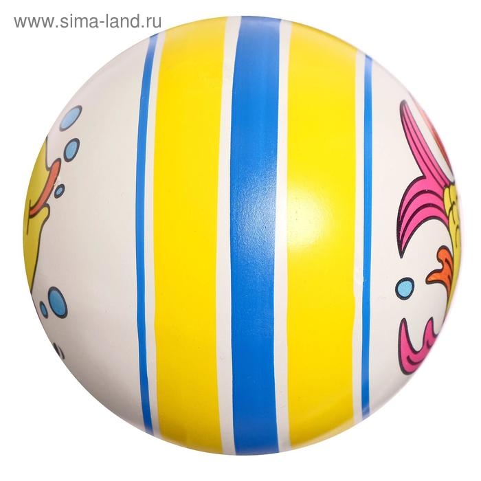 Мяч резиновый, диаметр 100 мм, (рисунок), цвета МИКС Мяч резиновый, диаметр 100 мм, (рисунок), цвета МИКС