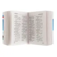 Орфографический словарь русского языка, Алабугина Ю. В.