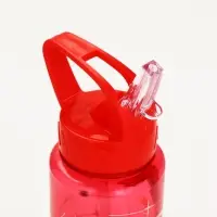 Бутылка пластиковая с трубочкой-непроливайкой &laquo;Супергерой&raquo;, 750 мл