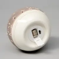 Ёлочный шар с подсветкой &laquo;Олень&raquo;, 10&times;8.8&times;8.8 см, 1 LED, керамика, от батареек LR44&times;3, керамика, свечение тёплое белое