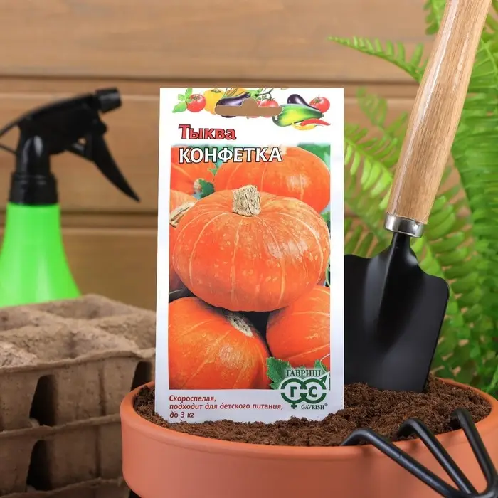 Семена Тыква  Семена Тыква "Конфетка",  1 г
