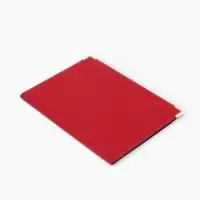 Обложка для паспорта, пвх, 9.5&times;0.5&times;13.5 см, МИКС