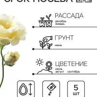 Семена цветов Эустома &laquo;Эйбиси&raquo;, F1, зелёная крупноцветковая махровая, 5 шт., однолетник, &laquo;Аэлита&raquo; селекция PanAmerican Seed