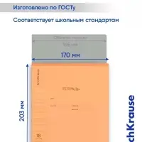 Тетрадь 18 листов в линейку ErichKrause CoverPro matt Pulse, МИКС