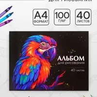 Альбом для рисования Calligrata, А4, 40 листов на скрепке, МИКС