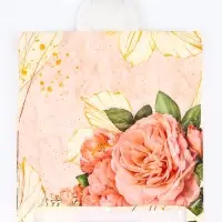 Пакет подарочный &laquo;Искушение&raquo;, полиэтиленовый с петлевой ручкой, 42&times;45 см, 45 мкм