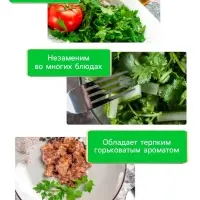 Семена Кориандр "Янтарь", 5 г Семена Кориандр "Янтарь", 5 г