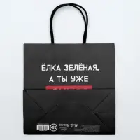 Пакет подарочный новогодний &laquo;А ты уже синяя&raquo;, 22&times;22&times;11 см