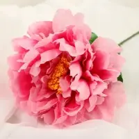 Цветы искусственные &laquo;Пион бархатный&raquo;, 15&times;55 см, розовые