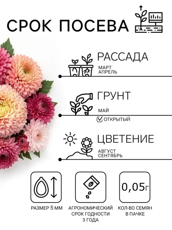 Семена цветов Астра &laquo;Леди Корал бежевая&raquo;, однолетняя, серия &laquo;Эксклюзив&raquo;, 0.05 г, &laquo;Гавриш&raquo;
